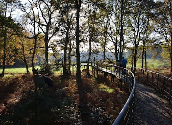 netherlands/gelderland/landmark/herikhuizen