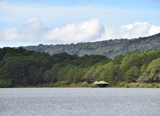 vietnam/dalat/landmark/the-morning-swan-tuyen-lam-lake