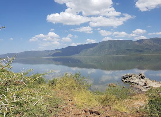 kenya/lake-baringo/landmark/lake-bogoria-hot-springs