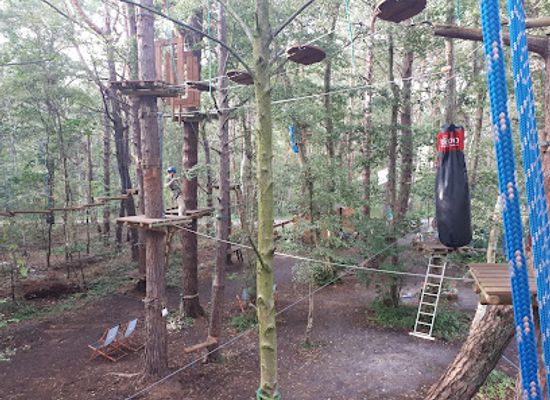 poland/hel-peninsula/landmark/park-linowy-bonobo