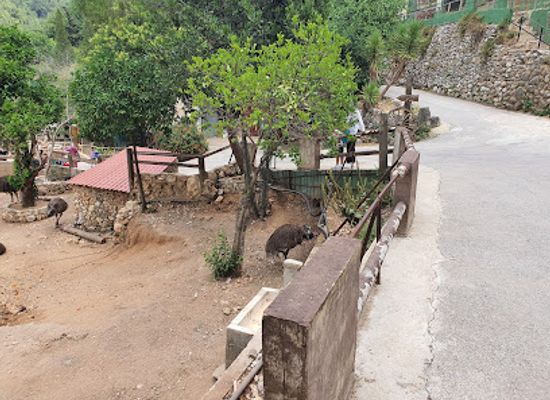 lebanon/jounieh/landmark/animal-city