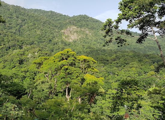 honduras/pico-bonito-national-park/landmark/pico-bonito