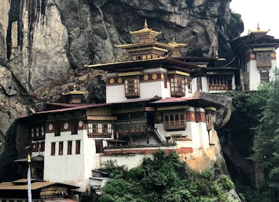 bhutan/punakha/landmark/royal-takin-preserve