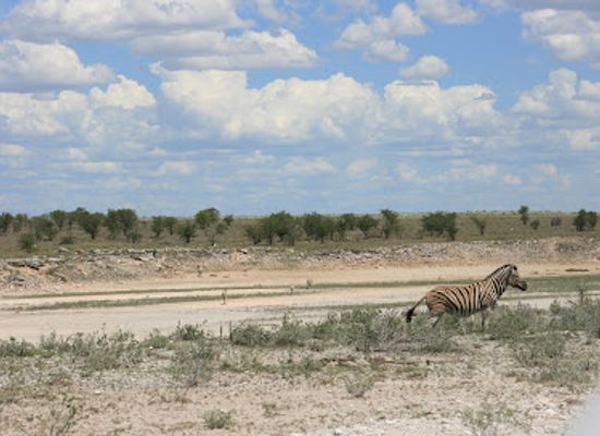 namibia/etosha-village/landmark/etosha-pan-lookout