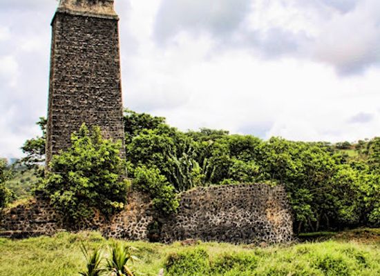 mauritius/bel-ombre/landmark/bel-ombre-nature-reserve