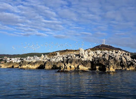 montenegro/ulcinj/landmark/isle-old-ulcinj