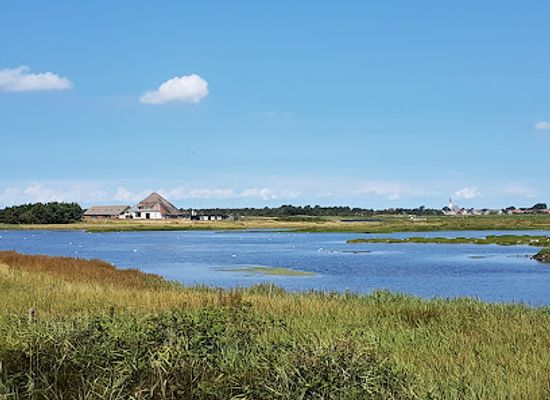 netherlands/texel-island/landmark/de-hors