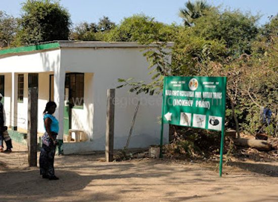 the-gambia/jarra-west/landmark/bijilo-monkey-park