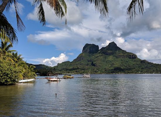french-polynesia/raiatea/landmark/terei-a