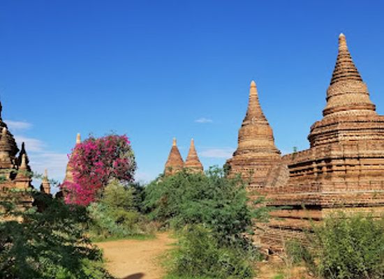 myanmar-burma/bagan/landmark/utrecht-pagoda