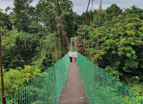 malaysia/taman-negara-national-park/landmark/taman-negara-kelantan-kuala-koh-gua-musang-kelantan