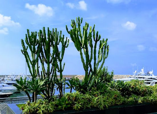 lebanon/north-lebanon/landmark/zaituna-bay