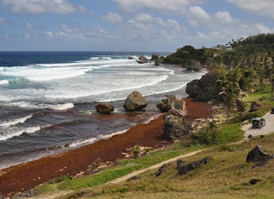 barbados/west-coast/landmark/harrison-s-cave-eco-adventure-park
