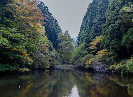 japan/hakone/landmark/nihyaku-kaidan-stairs-of-two-hundred-steps