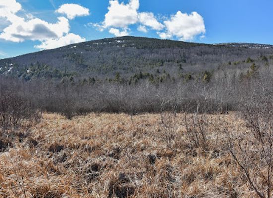 maine/acadia-national-park/landmark/jesup-path-and-hemlock-path-loop