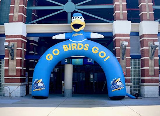 south-carolina/myrtle-beach/landmark/myrtle-beach-pelicans