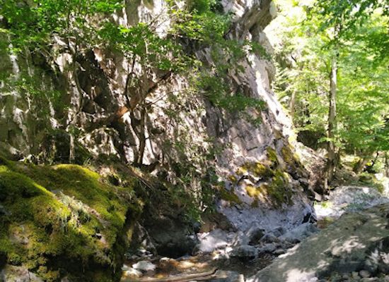 armenia/shikahogh-state-reserve/landmark/tsav-waterfall