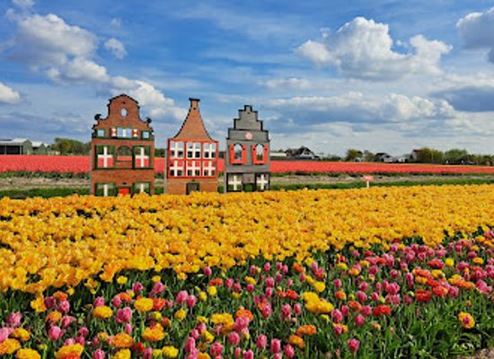 netherlands/bollenstreek/landmark/tulip-experience-amsterdam