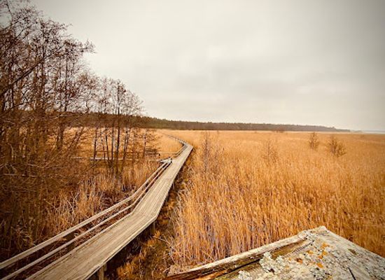 finland/satakunta/landmark/yyteri-nature-trail-lietteiden-reitti