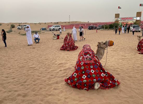 united-arab-emirates/hajar-mountains/landmark/adventure-planet-tourism-dubai-desert-safari