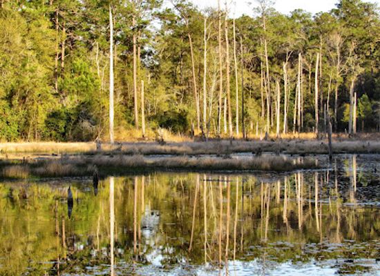 alabama/conecuh-national-forest/landmark/historic-blakeley-state-park
