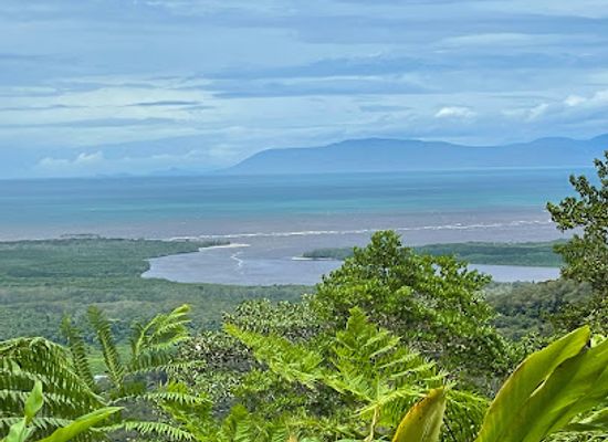 australia/port-douglas/landmark/tony-s-tropical-tours