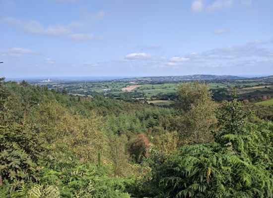 united-kingdom/clwyd/attraction/nercwys-forest-2