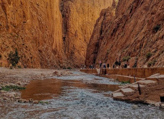 morocco/saharan-morocco/landmark/gorges-du-todrha
