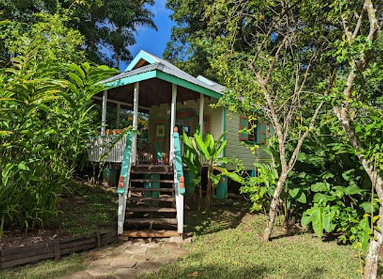 antigua-and-barbuda/fig-tree-drive/landmark/fig-tree-studio-art-gallery