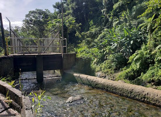 dominica/soufriere-bay/landmark/titou-gorge