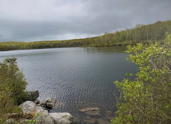 new-jersey/north-jersey/landmark/worthington-state-forest