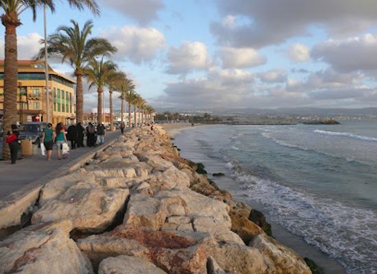 lebanon/tyre-coast/landmark/tyre-coast-nature-reserve