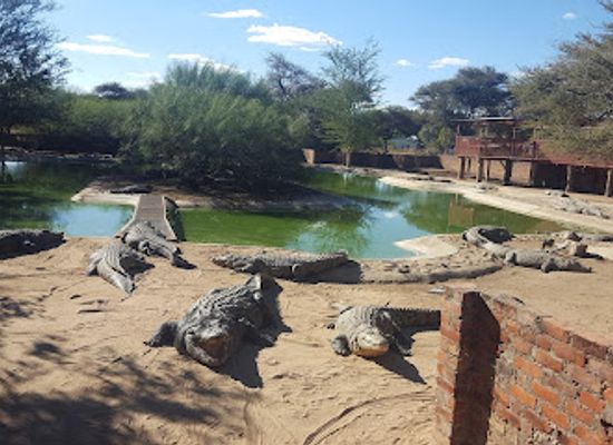 namibia/otjiwarongo/landmark/crocodile-farm-otjiwarongo