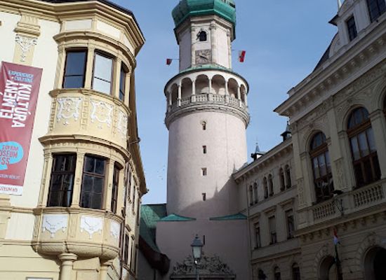 hungary/sopron-wine-region/landmark/storno-house