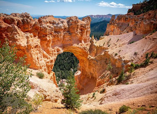 utah/dixie-national-forest/landmark/natural-bridge