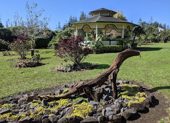 norfolk-island/queen-victoria-s-garden/landmark/queen-victoria-s-garden-queen-victoria-memorial-gardens