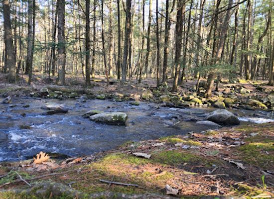 pennsylvania/amish-country/landmark/reeds-gap-state-park