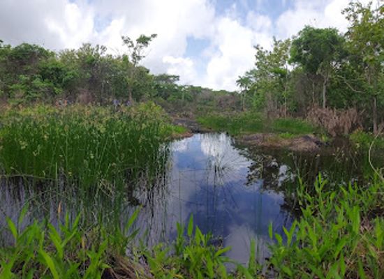 trinidad-and-tobago/penal-debe/landmark/moruga-tar-pitch-lake