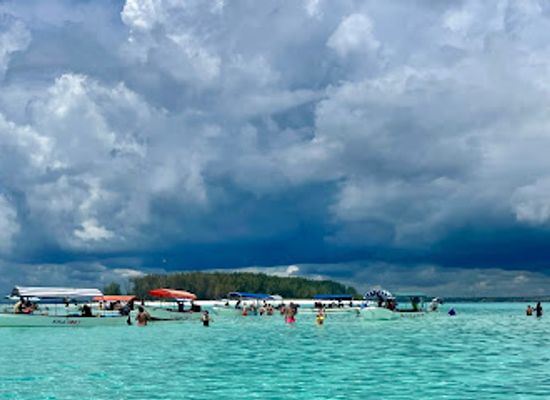 tanzania/zanzibar-archipelago/landmark/sandbank-at-mnemba-island