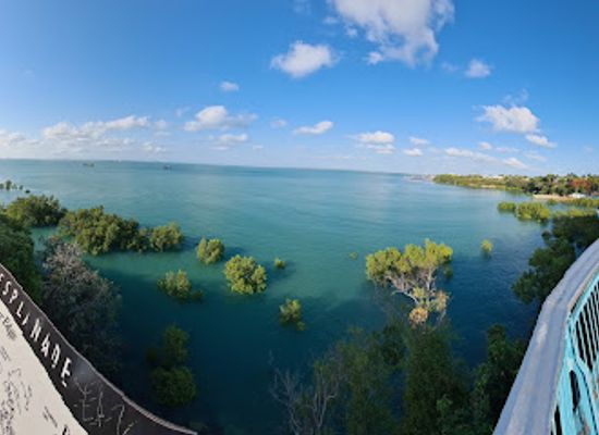 australia/darwin/landmark/aquascene-fish-feeding-sanctuary-cafe