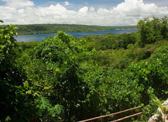 vanuatu/norsup/landmark/freshwater-plantation-aore-island
