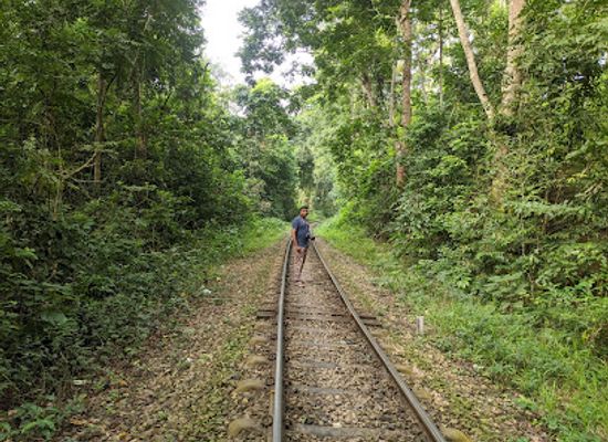 bangladesh/sylhet-division/landmark/laowaachra-forest
