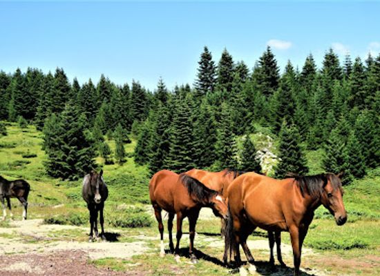 poland/lublin-upland/landmark/wyzyna-lubelska