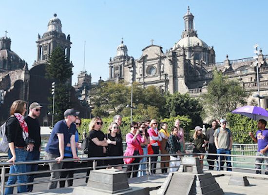 mexico/mexico-city/landmark/the-monkey-experience