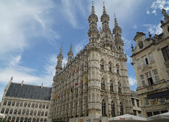 belgium/zenne-valley/landmark/historic-leuven-town-hall