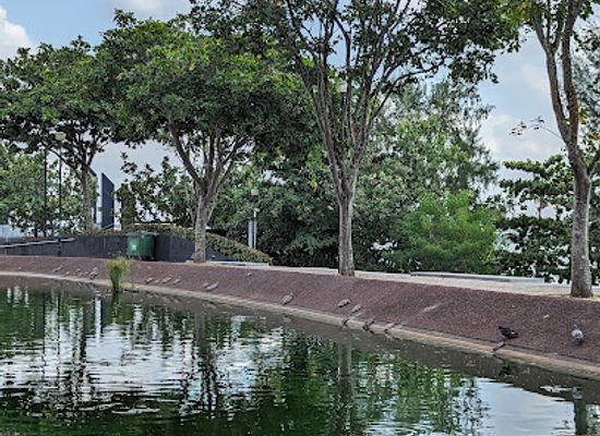 singapore/coney-island/landmark/punggol-beach