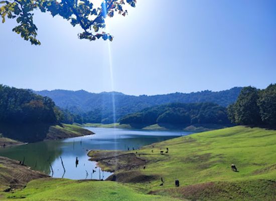 azerbaijan/lankaran-astara-region/landmark/hirkan-national-park