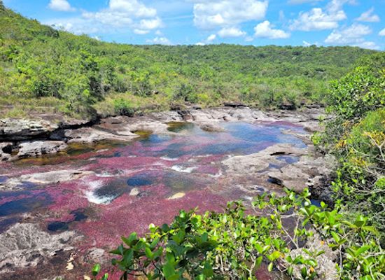 colombia/cano-cristales/landmark/cano-piedras