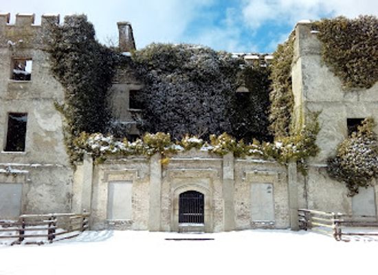 ireland/county-kildare/landmark/donadea-forest-park