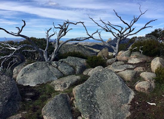 australia/high-country/landmark/the-horn-lookout